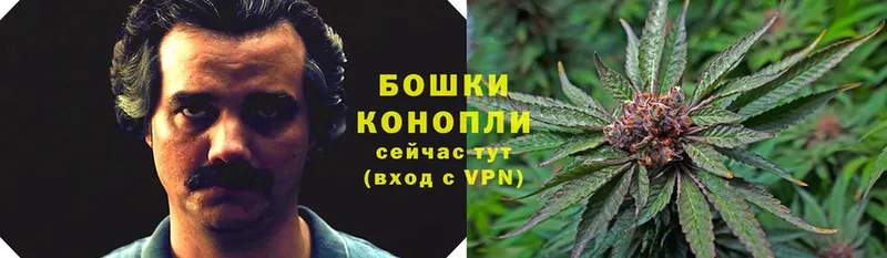 наркошоп  Вельск  МАРИХУАНА Ganja 